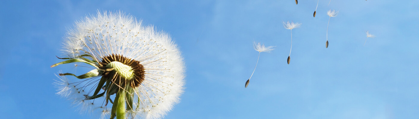 ky开元重机集团股份有限公司